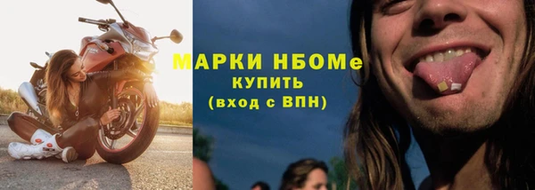 сатива Вяземский