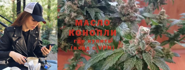 сатива Вяземский