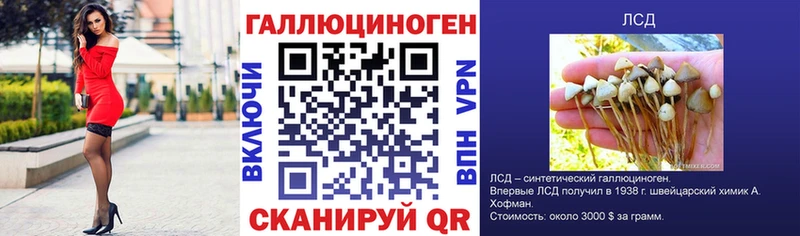 Псилоцибиновые грибы GOLDEN TEACHER Зерноград